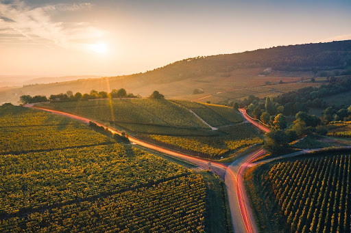 Sunset over rolling vineyards with intersecting roads.