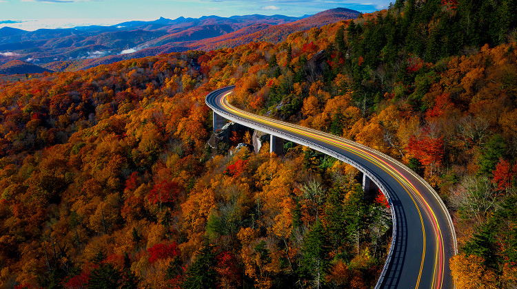 A National Highway bridge is passing through the forest area.